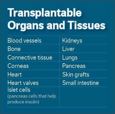 organ-and-tissue