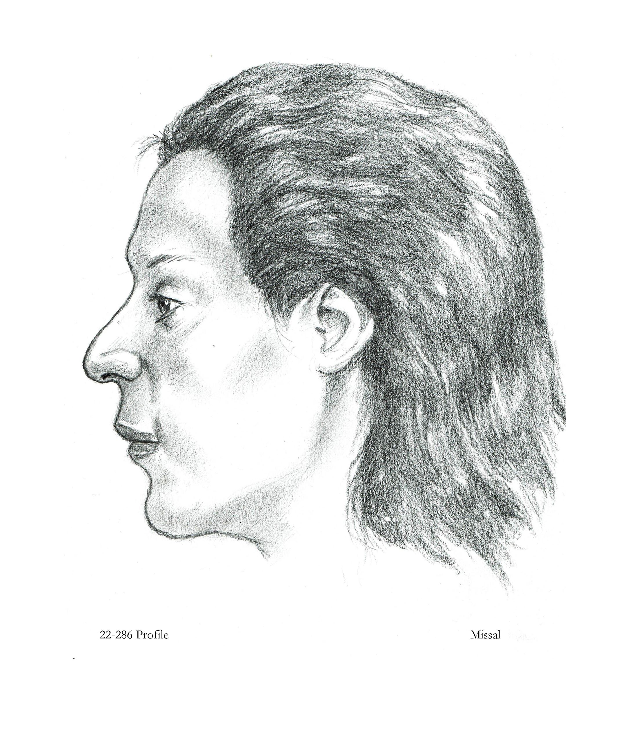 forensic sketch by Steve Missal (2)