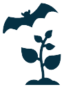 Icon - Plant Bat- Rabies