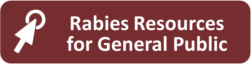 Rabies - Public - Button