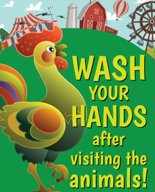 DOH - Wash Hands After Visiting