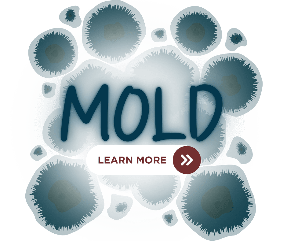 Click to visit Mold Page