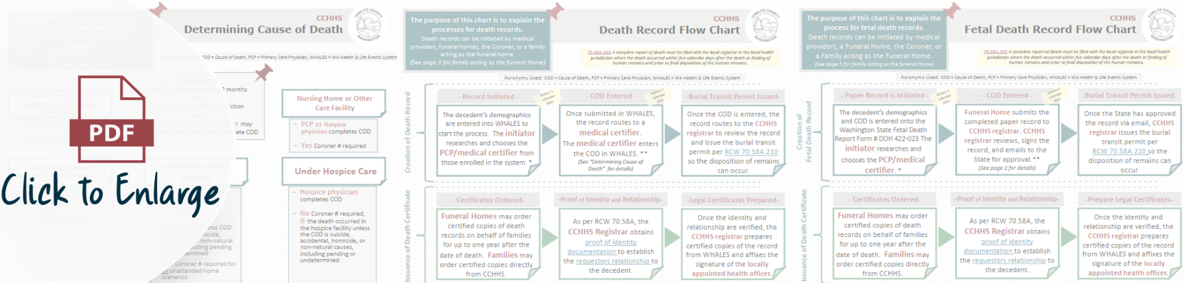 Flowchart Thumbnail with PDF Graphic