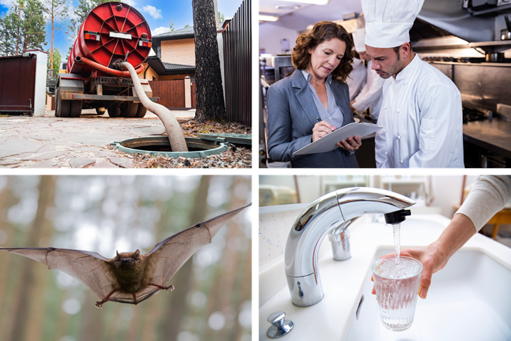 Environmental Health